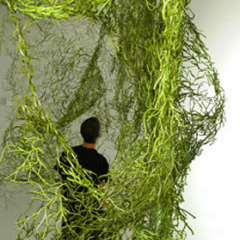 Etapes – Ronan and Erwan Bouroullec - Grand-Hornu Images